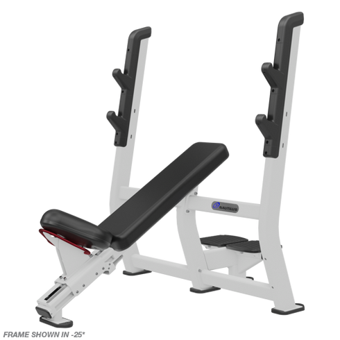 Nautilus Incline Bench Press